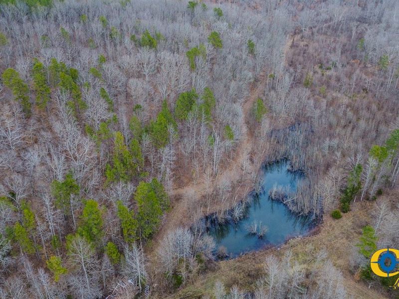 Spinks Tract : Lutts : Wayne County : Tennessee