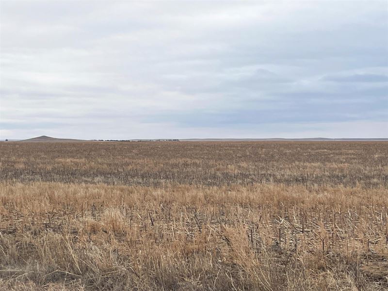 801 Acres, Sheridan County Farms : Gordon : Sheridan County : Nebraska