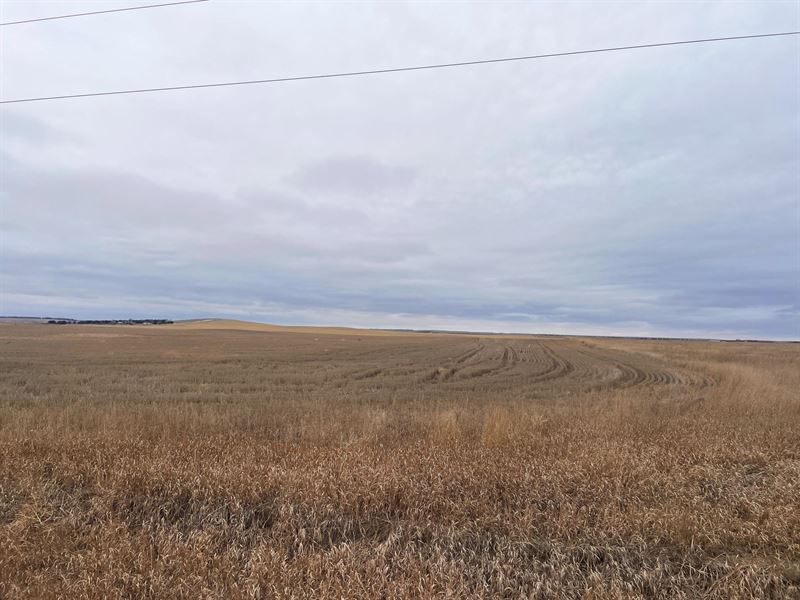 471 Acres, Sheridan County Farms : Gordon : Sheridan County : Nebraska