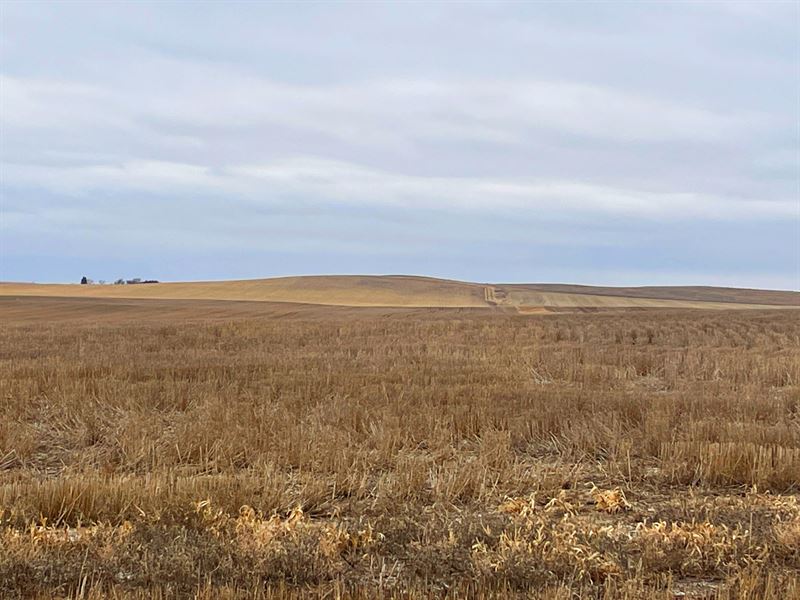 1,434 Acres, Sheridan County Farms : Gordon : Sheridan County : Nebraska