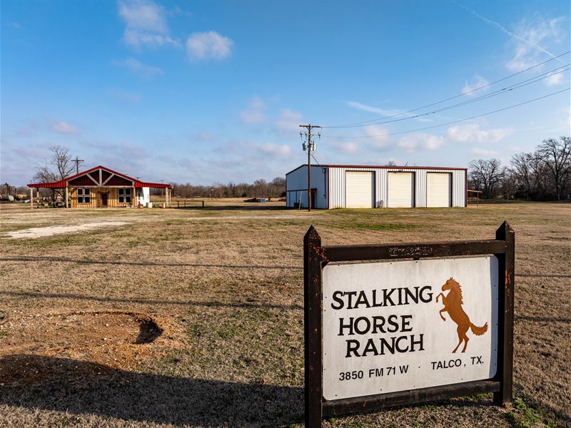 Stalking Horse Ranch, Talco, TX : Talco : Titus County : Texas