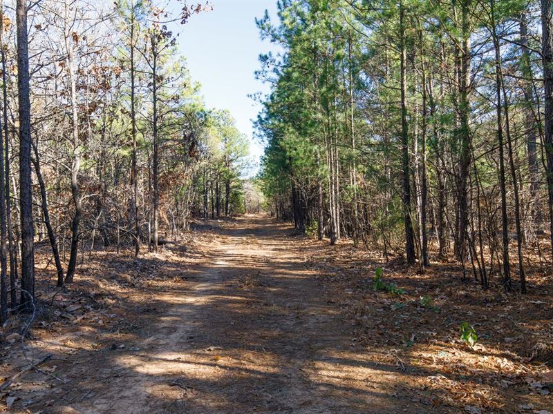 Recreational Land, $999 Down : Lequire : Latimer County : Oklahoma