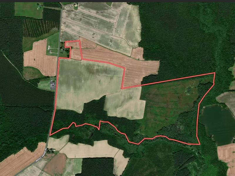 Updated, 234.44 Acres Farm and Re : Corapeake : Gates County : North Carolina