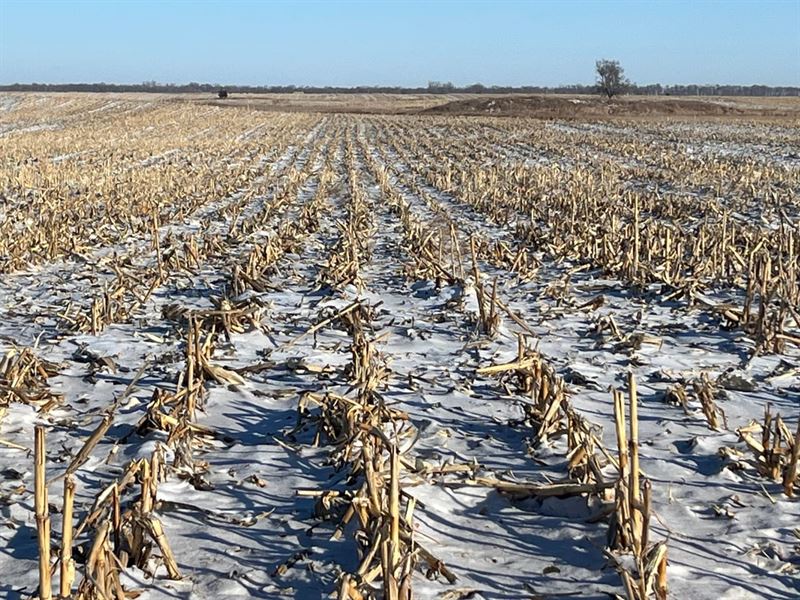 Brown County 160 : Columbia : Brown County : South Dakota