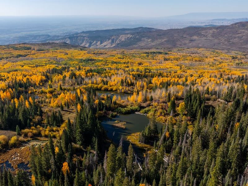 Buckhorn Lakes Mountain Hunting Ran : Montrose : Montrose County : Colorado