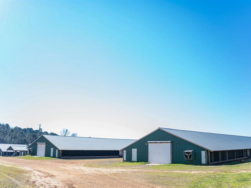 Poultry Farm for Sale in Dubach, LA : Dubach : Lincoln Parish : Louisiana