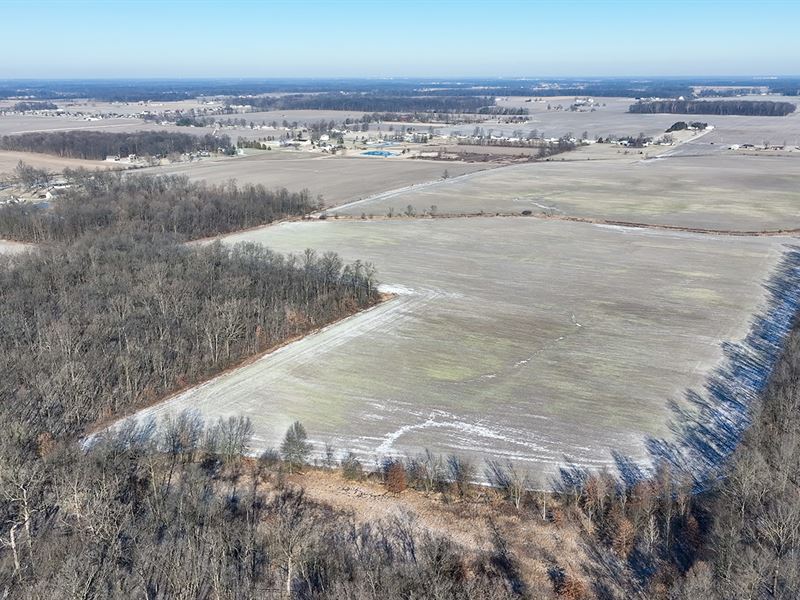 107+/- Ac, 3 Tracts Allen Co IN : Hoagland : Allen County : Indiana