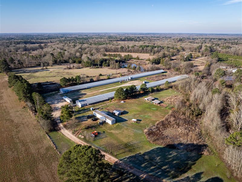 20 Acre Poultry Farm, Gilmer, TX : Gilmer : Upshur County : Texas