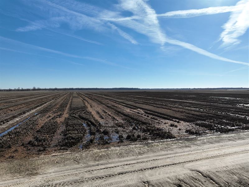 Dry Bayou Farm : Crowder : Quitman County : Mississippi