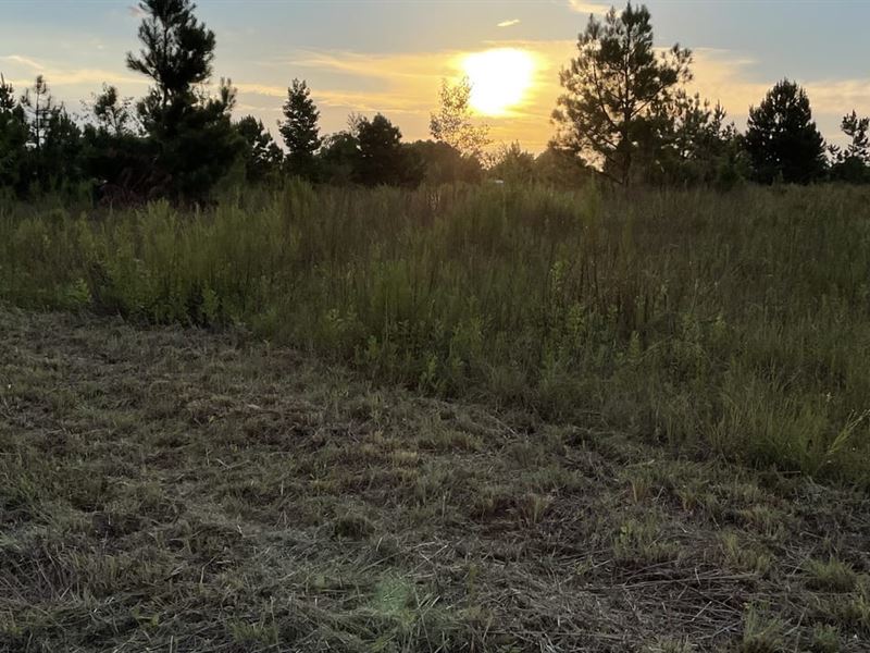 Laurens Farm : Rentz : Laurens County : Georgia