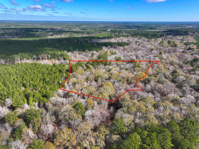 9 Acres, Off County Road 1875 : Wildwood : Tyler County : Texas