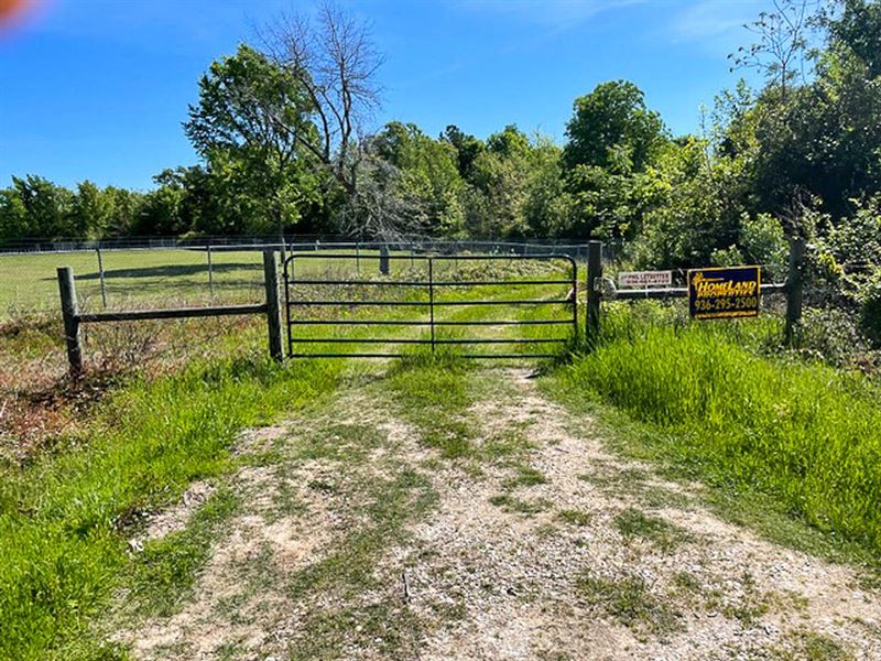 35 Acres, FM 356 : Sebastopol : Trinity County : Texas