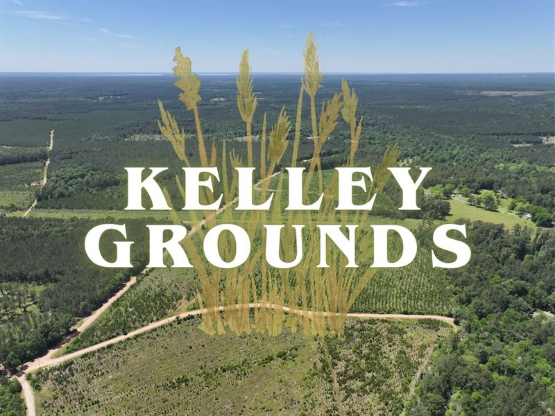 5.1 Acres, Lot 2-7, Kelley Ground : Indian Springs : Polk County : Texas