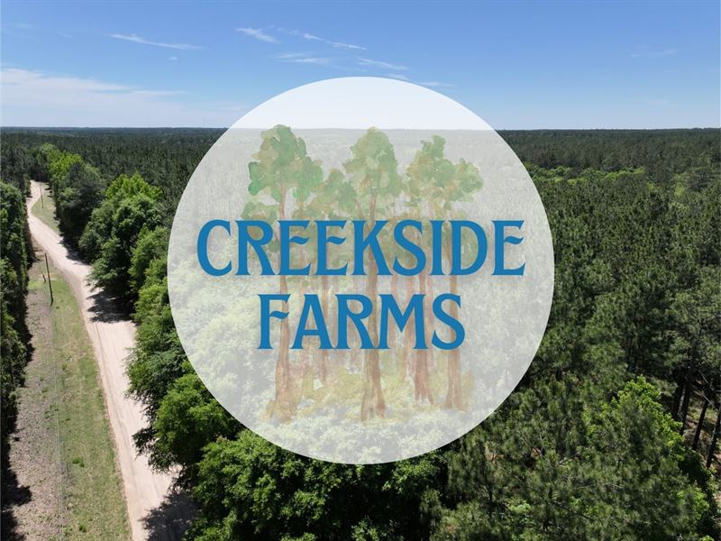 5.2 Acres, Lot 8, Creekside Farms : Livingston : Polk County : Texas