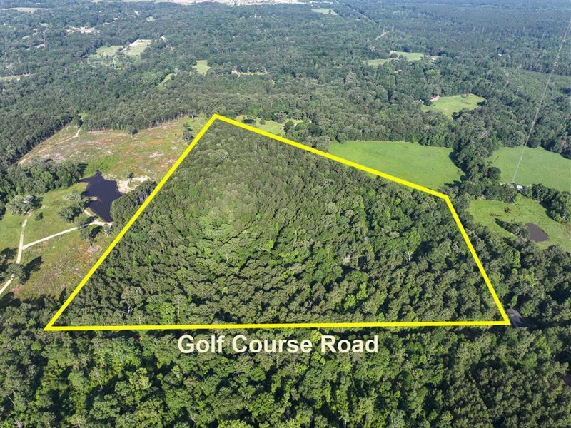 32 Acres, Golf Course Road : Lufkin : Angelina County : Texas