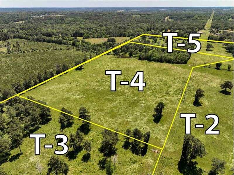 26 Acres, T-4, FM 2251 : Lufkin : Angelina County : Texas