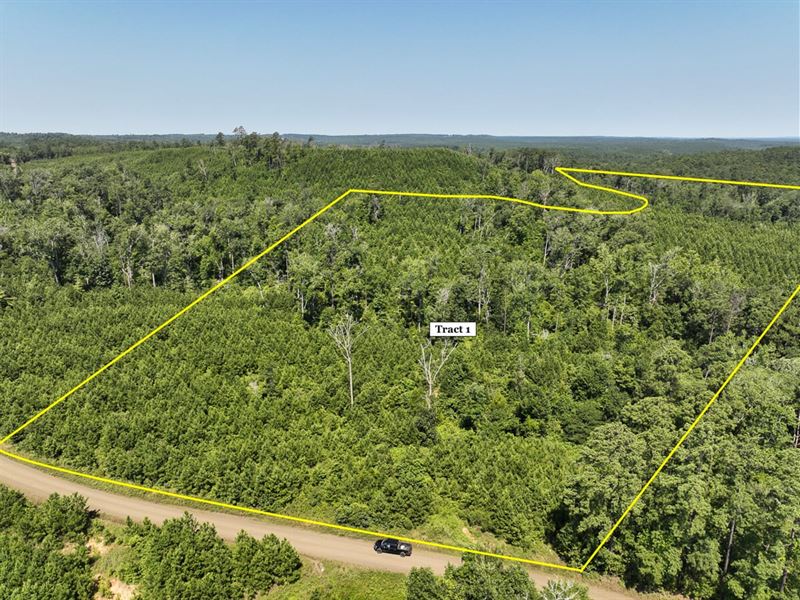 29 Acres, T-1, Carters Ferry Road : Milam : Sabine County : Texas