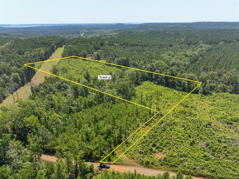 10 Acres, T-4, Carters Ferry Road : Milam : Sabine County : Texas