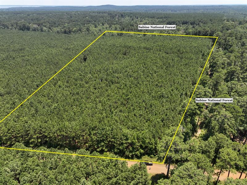 12 Acres, T-7, Bayou Road, 1023 : Milam : Sabine County : Texas