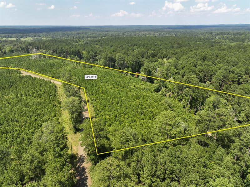 13 Acres, T-3, Lickety Split Road : Hemphill : Sabine County : Texas