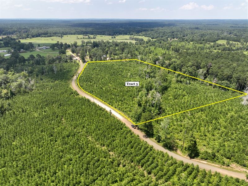 13 Acres, T-4, Lickety Split Road : Yellowpine : Sabine County : Texas