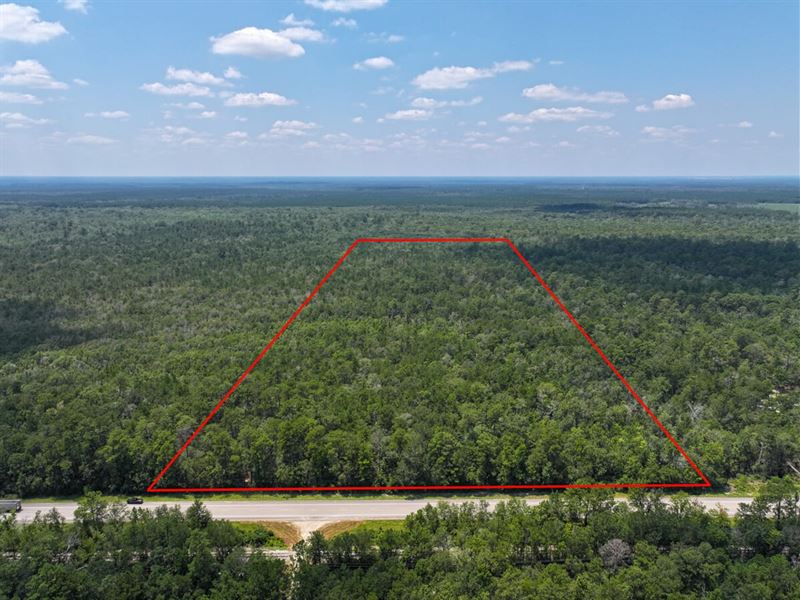 53 Acres, Highway 62 : Mauriceville : Jasper County : Texas