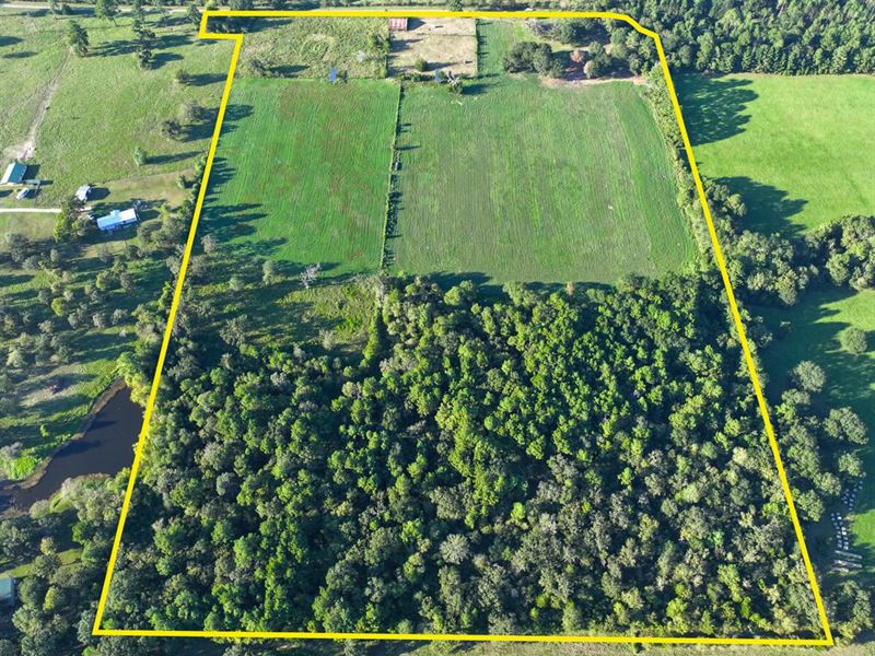 41 Acres, T-1, Hoke Road : Richards : Montgomery County : Texas