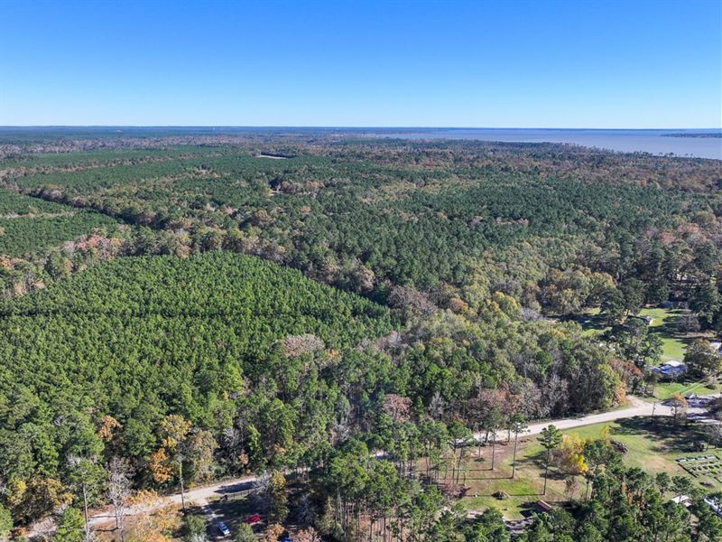 125 Acres, Camp Branch Road : Trinity : Trinity County : Texas