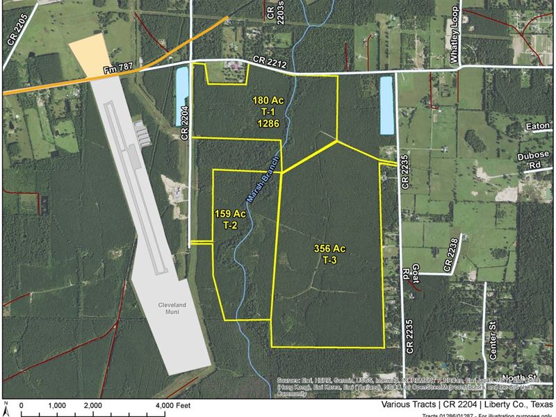 180 Acres, T-1, CR 2204, 01286/0 : Cleveland : Liberty County : Texas