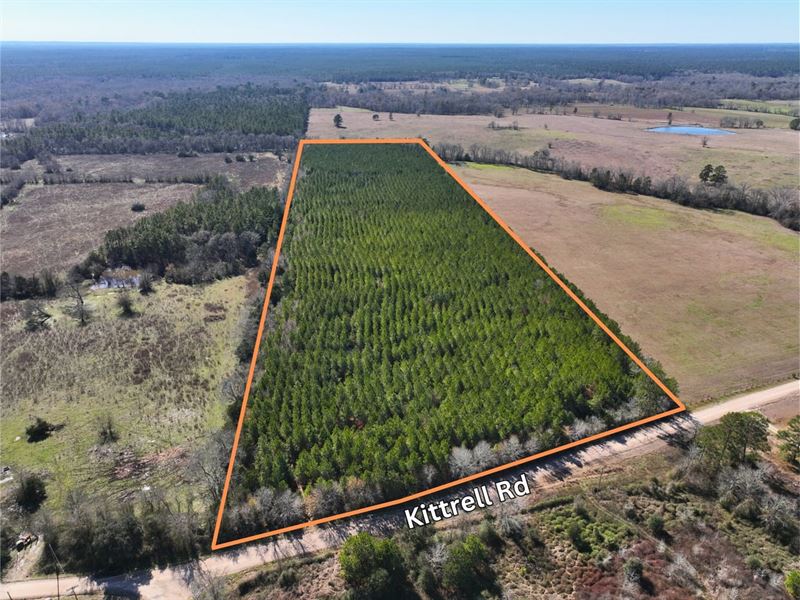 30 Acres, Kittrell Road : Oakhurst : San Jacinto County : Texas