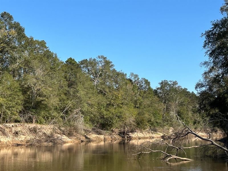 73 Acres, Village Creek, Lindsey : Silsbee : Hardin County : Texas