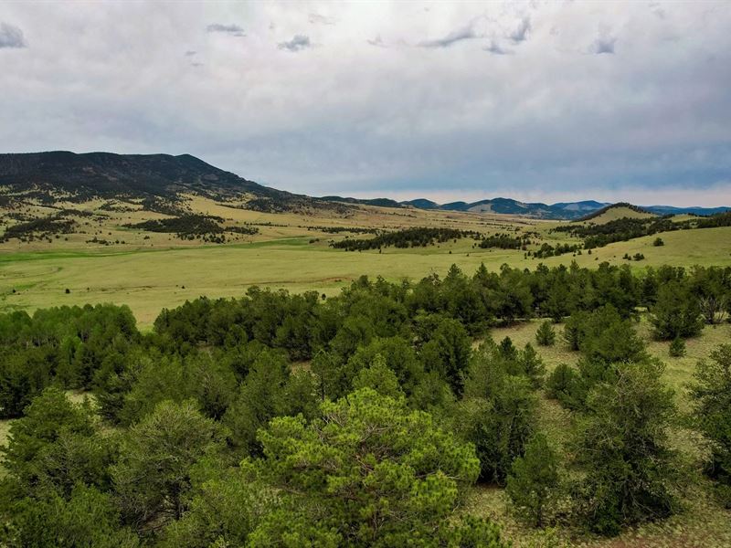 Currant Creek 255 : Guffey : Park County : Colorado