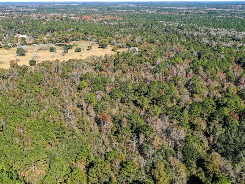 Jackson County 79 Acres : Moss Point : Jackson County : Mississippi