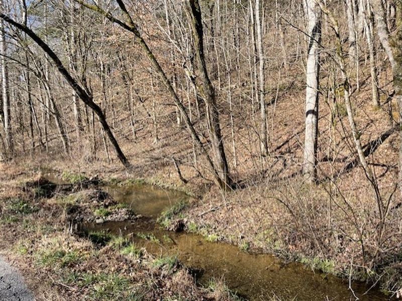 5.47 Wooded Acres : Pleasant Shade : Smith County : Tennessee