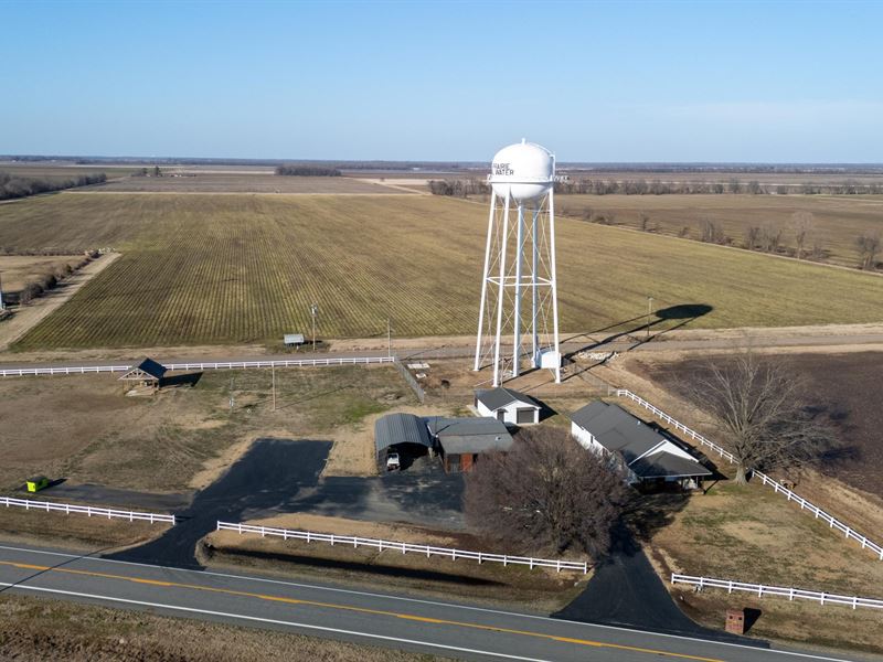 High Cotton Farms : Lonoke : Lonoke County : Arkansas