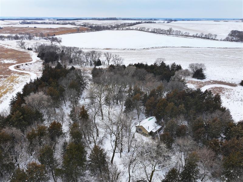 25 Acres, Stanton County, Deer : Stanton : Stanton County : Nebraska