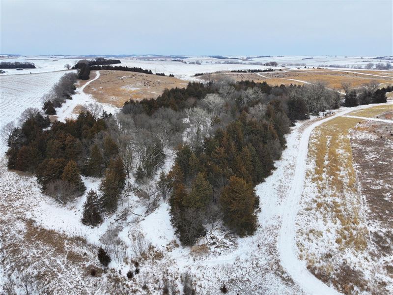 45 Acres, Stanton County, Deer : Stanton : Stanton County : Nebraska