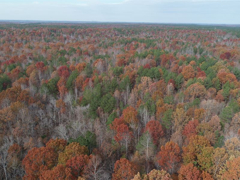 Jpw Timberlands North Tract : Pleasant Site : Franklin County : Alabama