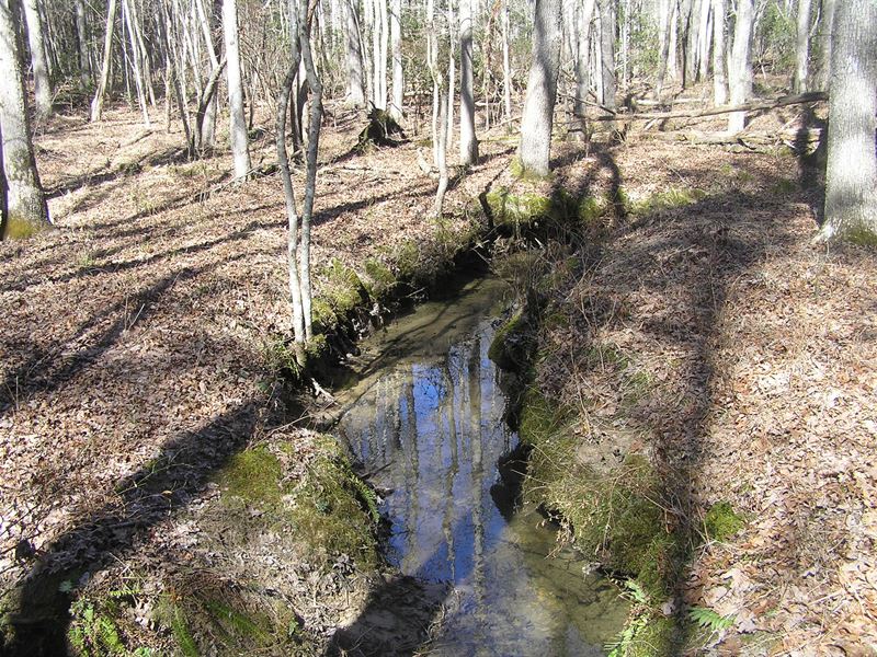 Creek Woods 6.8 Acres Owner Finance : Spencer : Sequatchie County : Tennessee