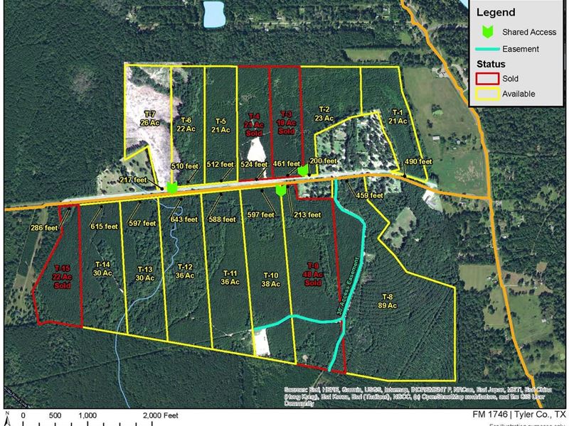 26 Acres, T-7, FM 1746 : Spurger : Tyler County : Texas