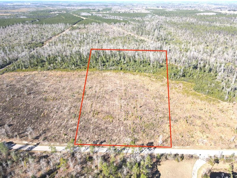 10 Acres, Calhoun County, FL : Blountstown : Calhoun County : Florida