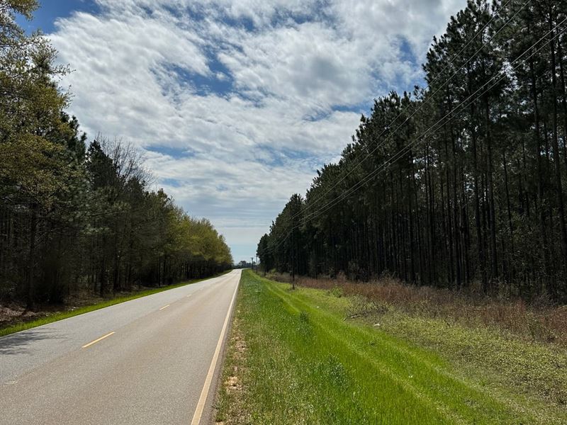 29 Acres Butler Street : Atmore : Escambia County : Alabama