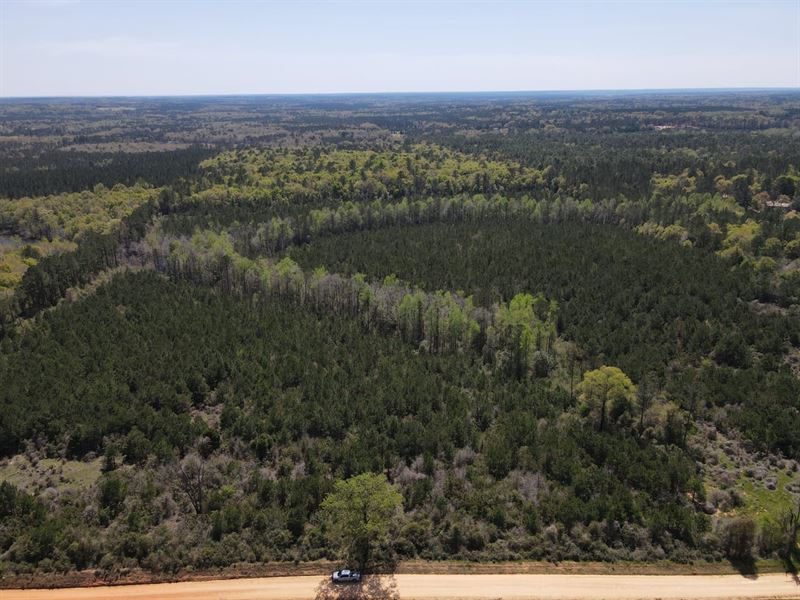 46 Acres Glisson Rd : Andalusia : Covington County : Alabama