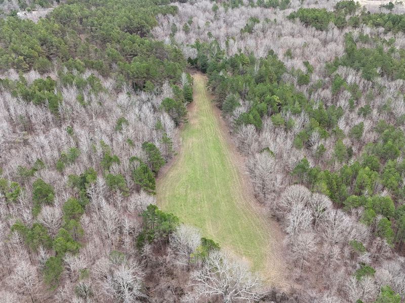 126.39 Acres in Benton County, MS : Michigan City : Benton County : Mississippi