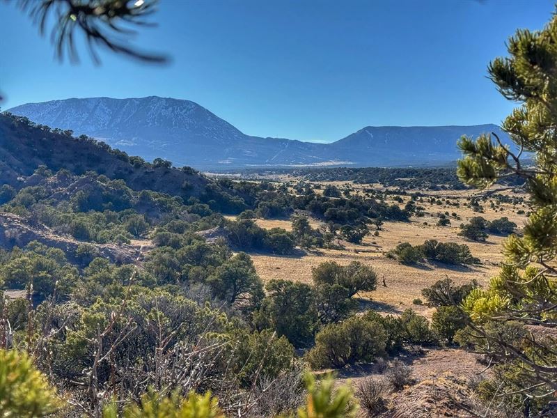 Lot 13 Cl&G Bb, Gardner, Co 810 : Gardner : Huerfano County : Colorado