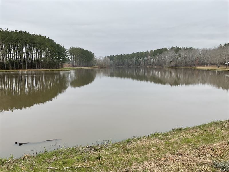 N Moody's Crossroads Tract : Luverne : Crenshaw County : Alabama