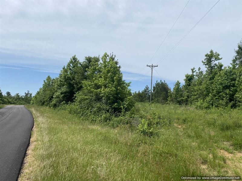 Beautiful Hunting Land, Many Trees : Hazlehurst : Copiah County : Mississippi