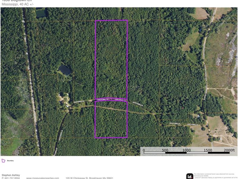 45 Acres of River Bottom Hunting : Hazlehurst : Copiah County : Mississippi