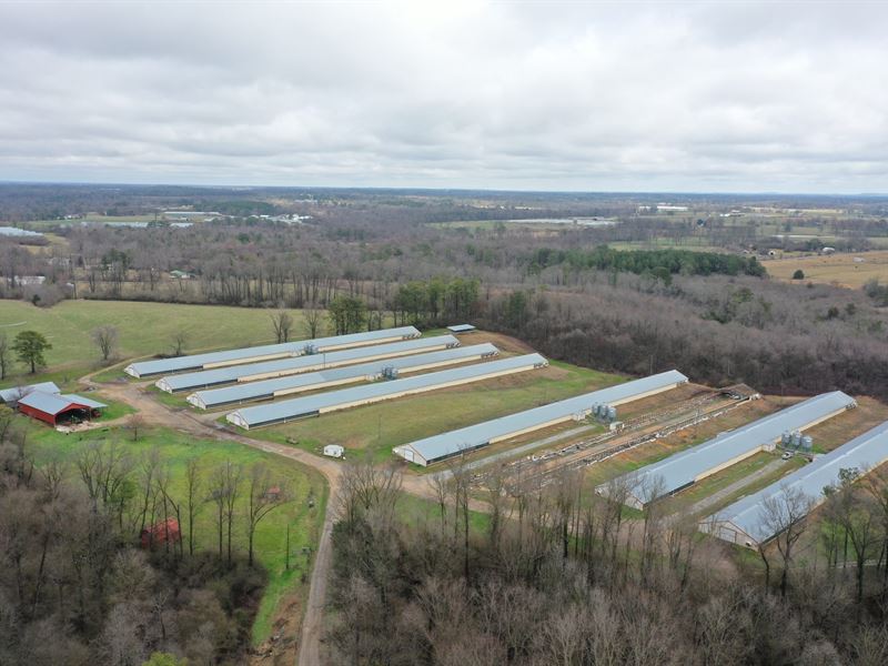 Lemons Broiler Farm : Crossville : Dekalb County : Alabama