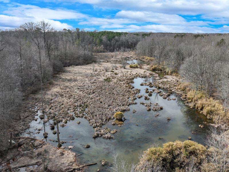 Winterville Wetland Tract : Winterville : Oglethorpe County : Georgia